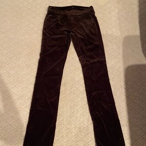 Brown Velvet 7 Jeans